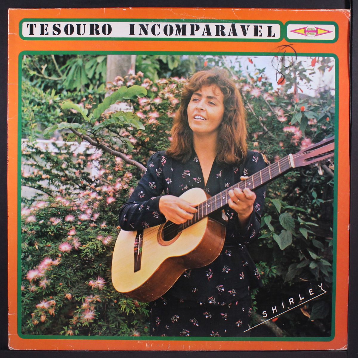 tesouro incomparavel by SHIRLEY