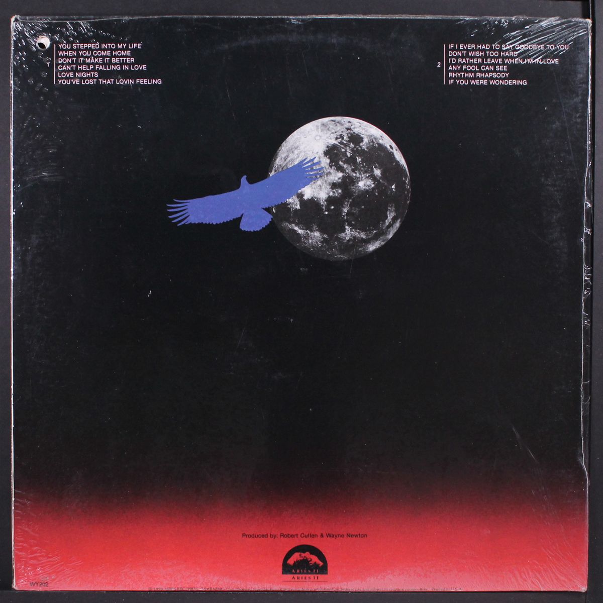 night eagle 1 by WAYNE NEWTON