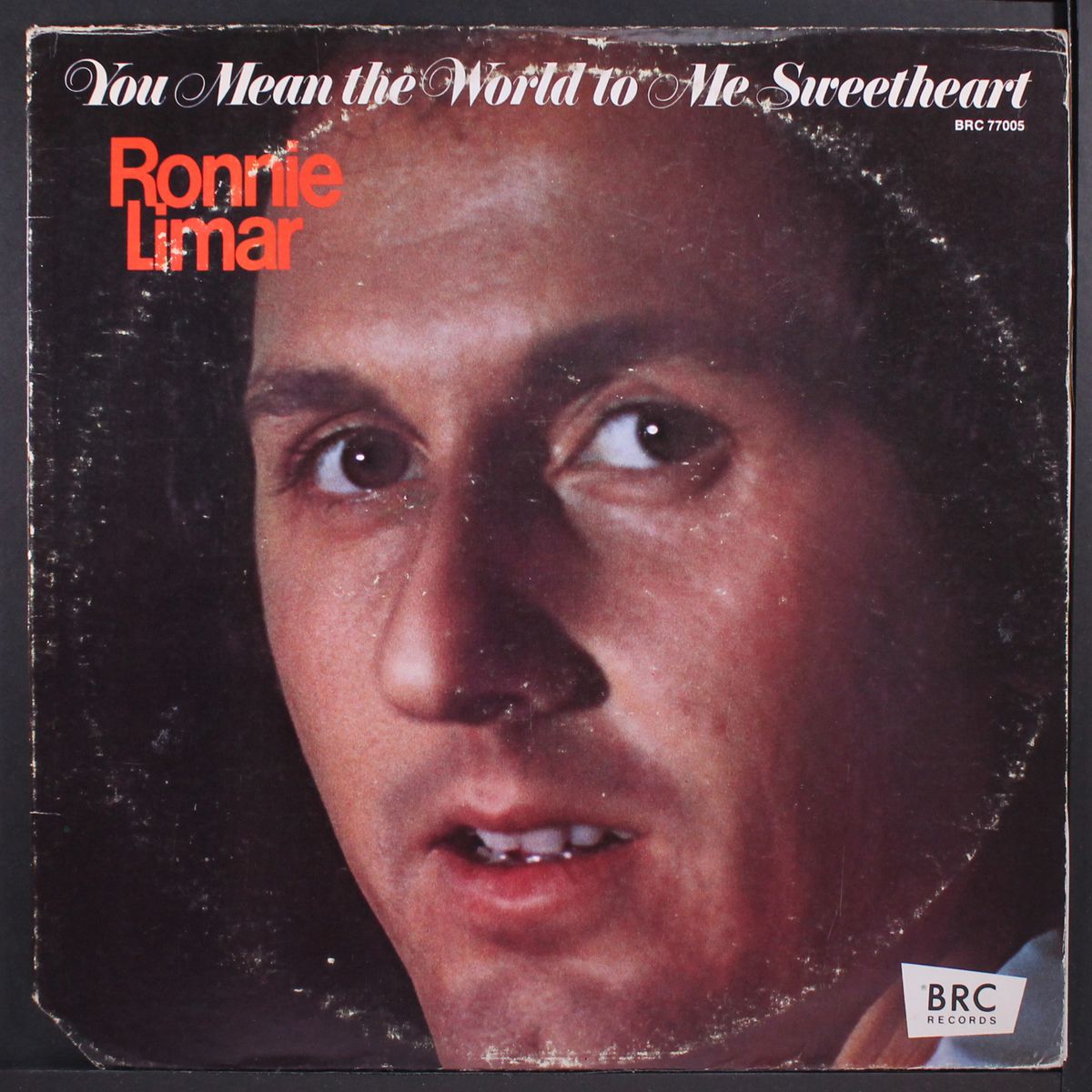 you mean the world to me sweetheart by RONNIE LIMAR