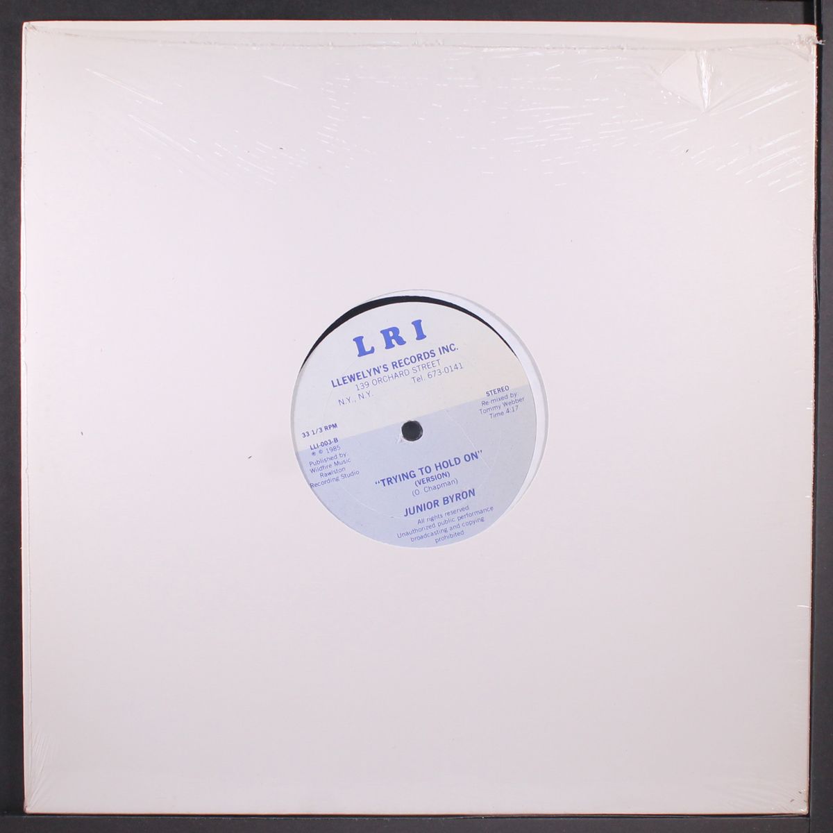 trying to hold on / version by JUNIOR BYRON