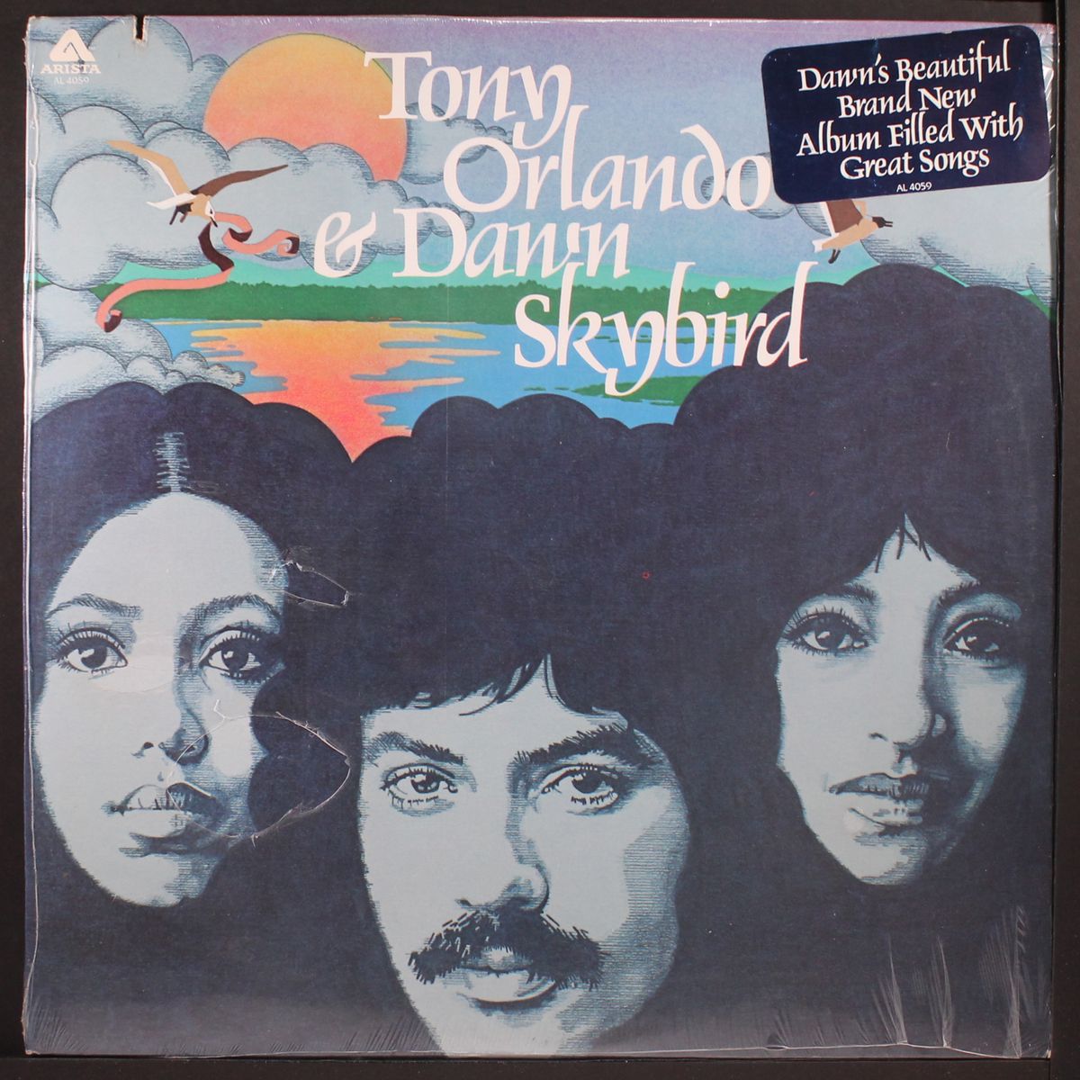 skybird by TONY ORLANDO & DAWN