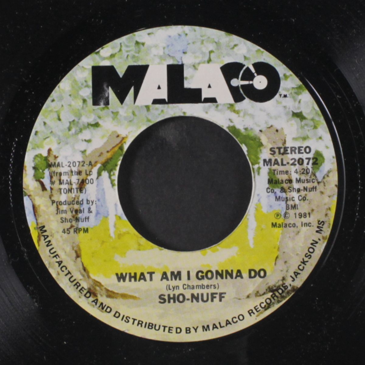what am i gonna do / dancin' fun by SHO-NUFF