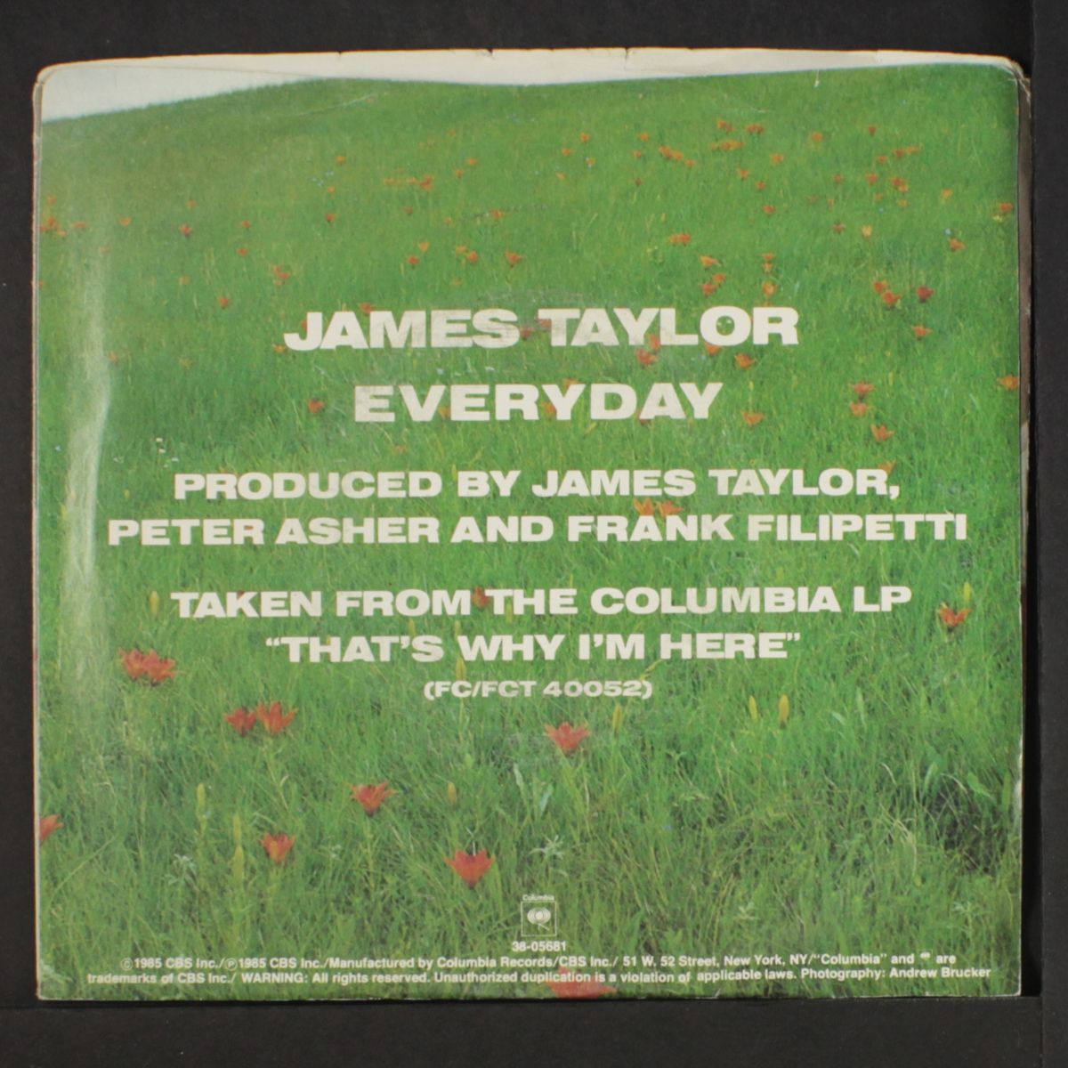 everyday / limousine driver by JAMES TAYLOR