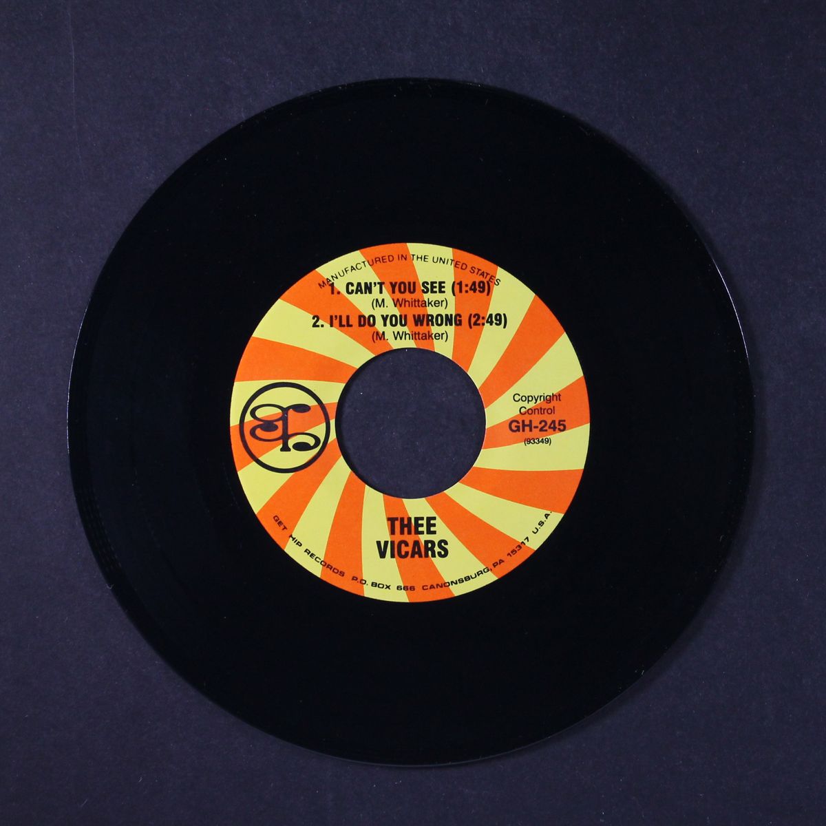 can't you see, i'll do you wrong / the dirty dog by THEE VICARS