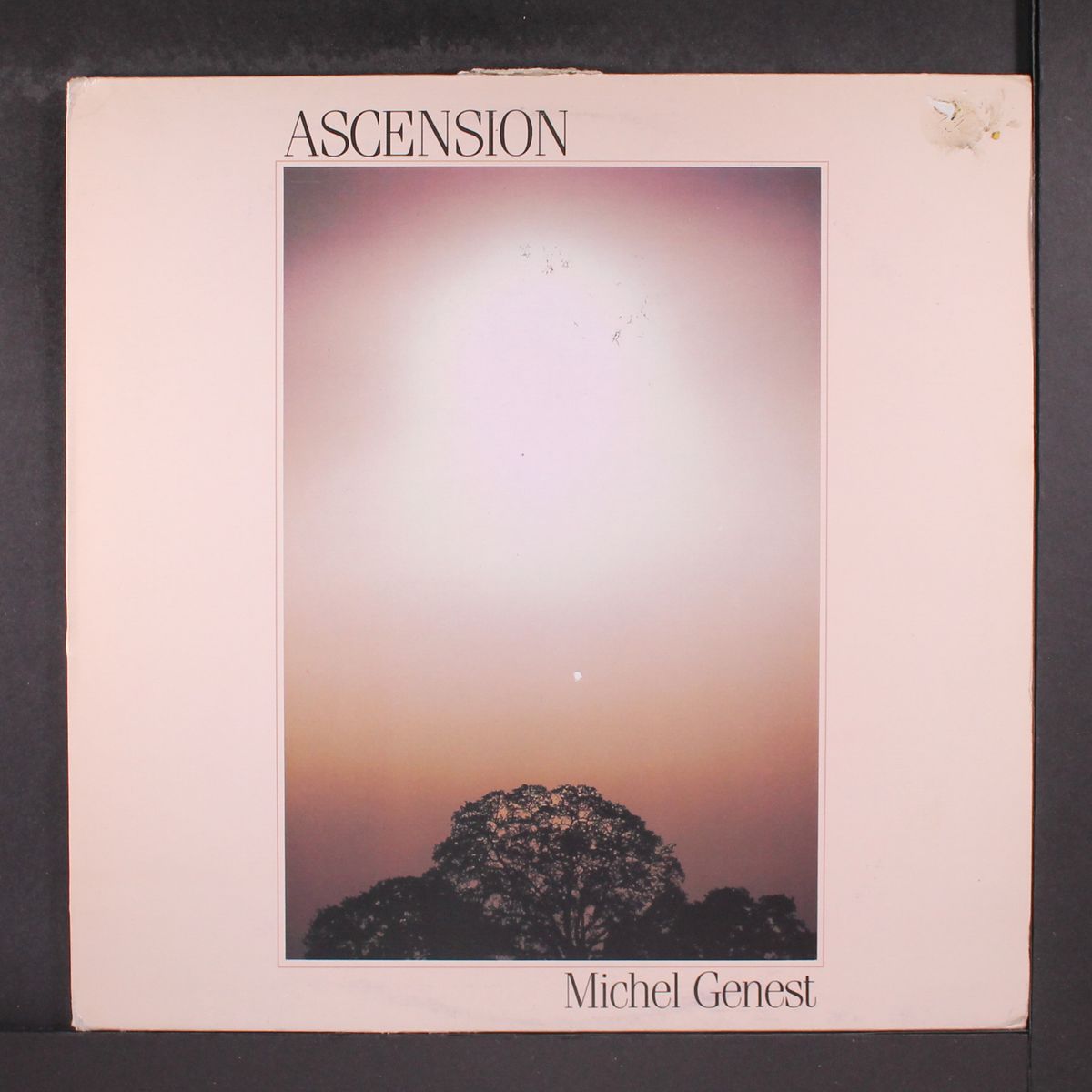 ascension by MICHEL GENEST