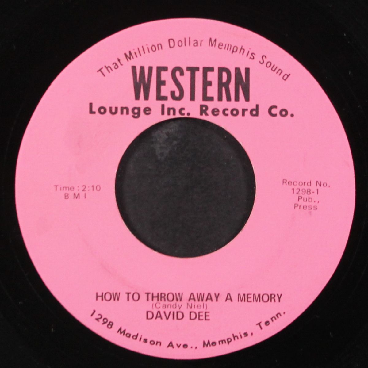 how to throw away a memory by DAVID DEE