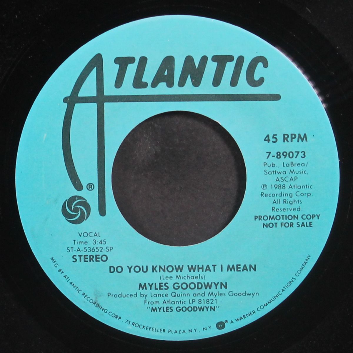 do you know what i mean / same by MYLES GOODWYN