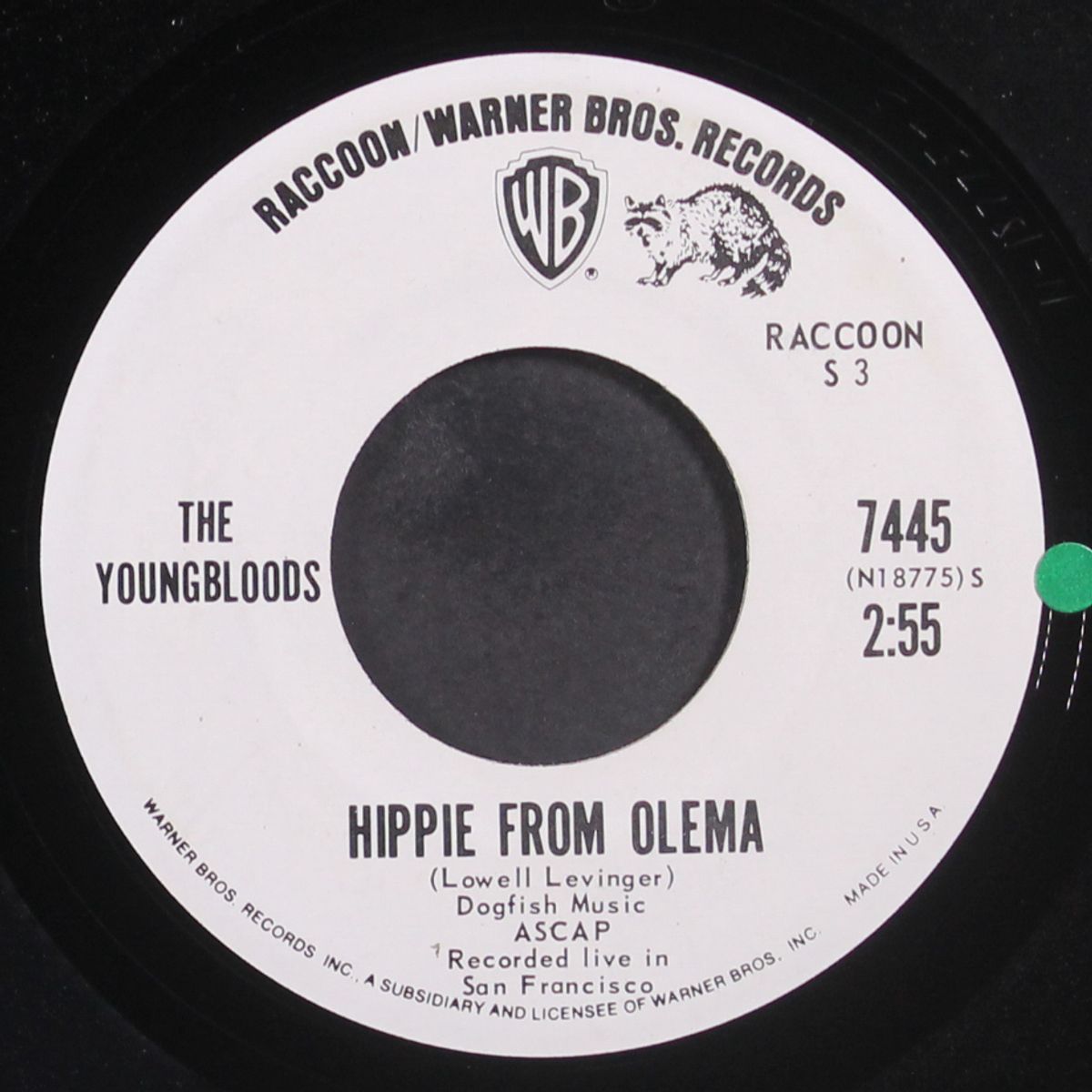 hippie from olema / misty roses by YOUNGBLOODS