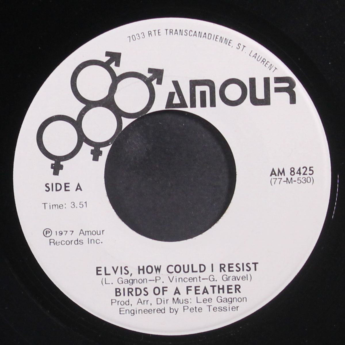 elvis, how could i resist by BIRDS OF A FEATHER