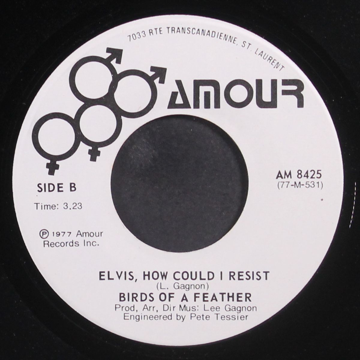 elvis, how could i resist by BIRDS OF A FEATHER