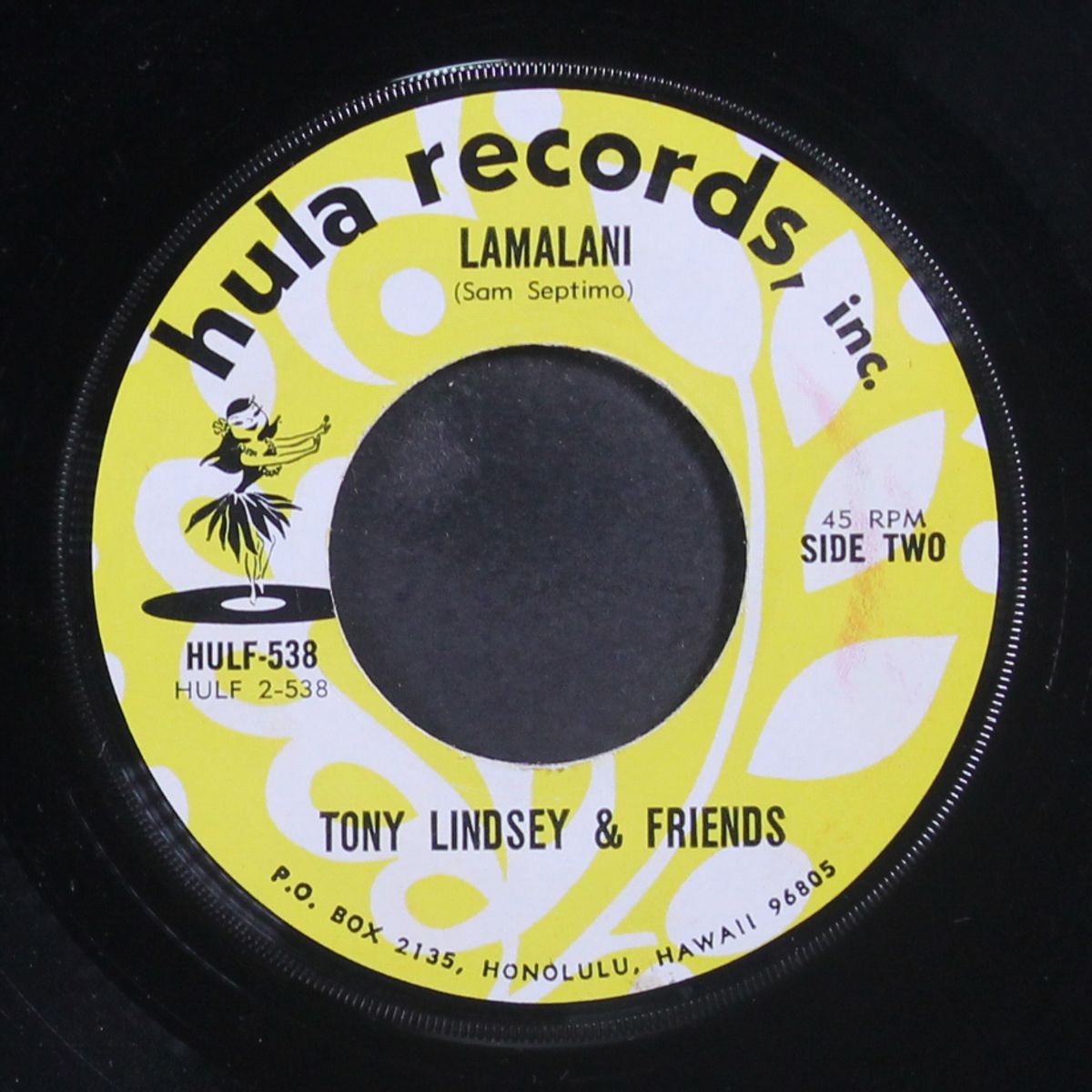 indebted to you / lamalani by TONY LINDSEY & FRIENDS