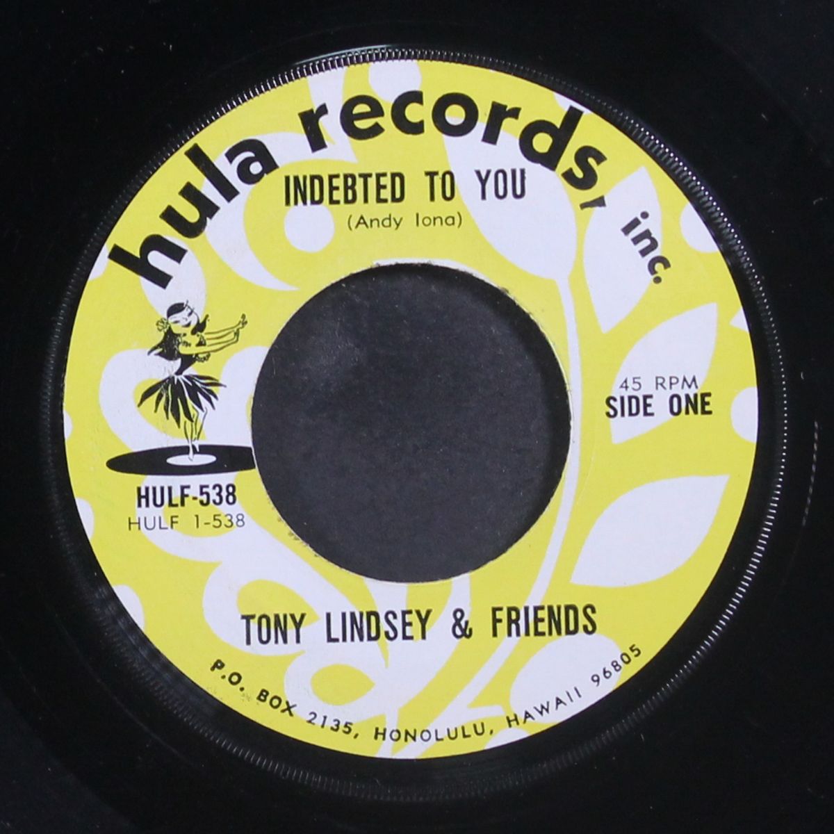 indebted to you / lamalani by TONY LINDSEY & FRIENDS