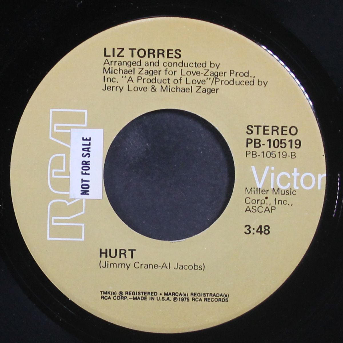 hustl latino by LIZ TORRES