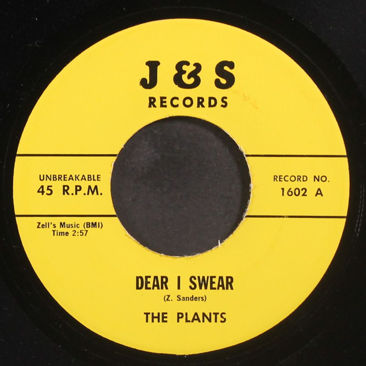 dear i swear / it's you by PLANTS