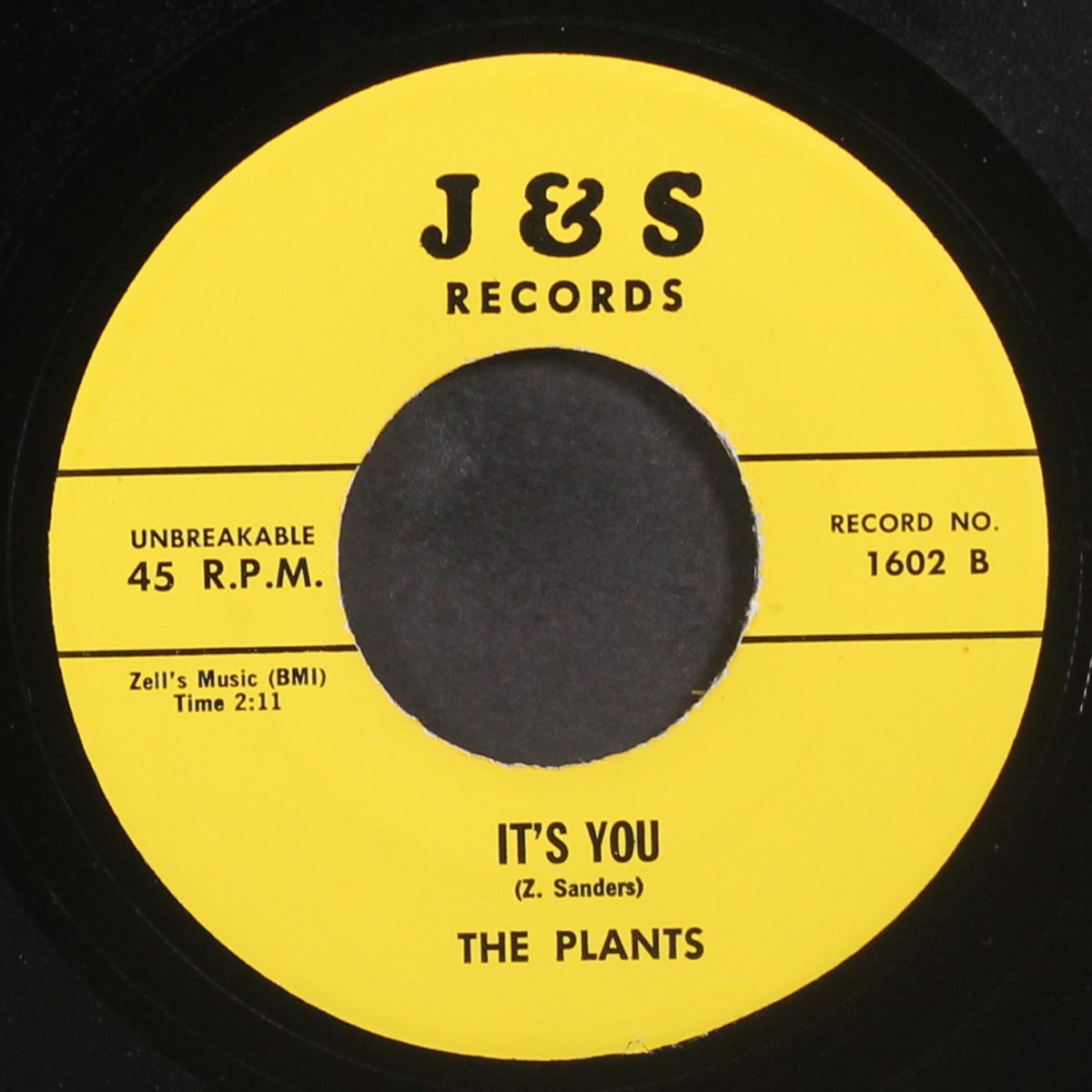 dear i swear / it's you by PLANTS