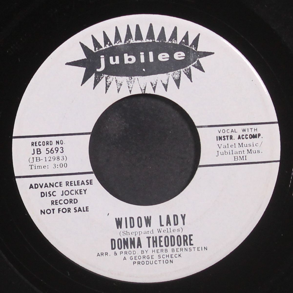 why can't i touch you? / widow lady by DONNA THEODORE