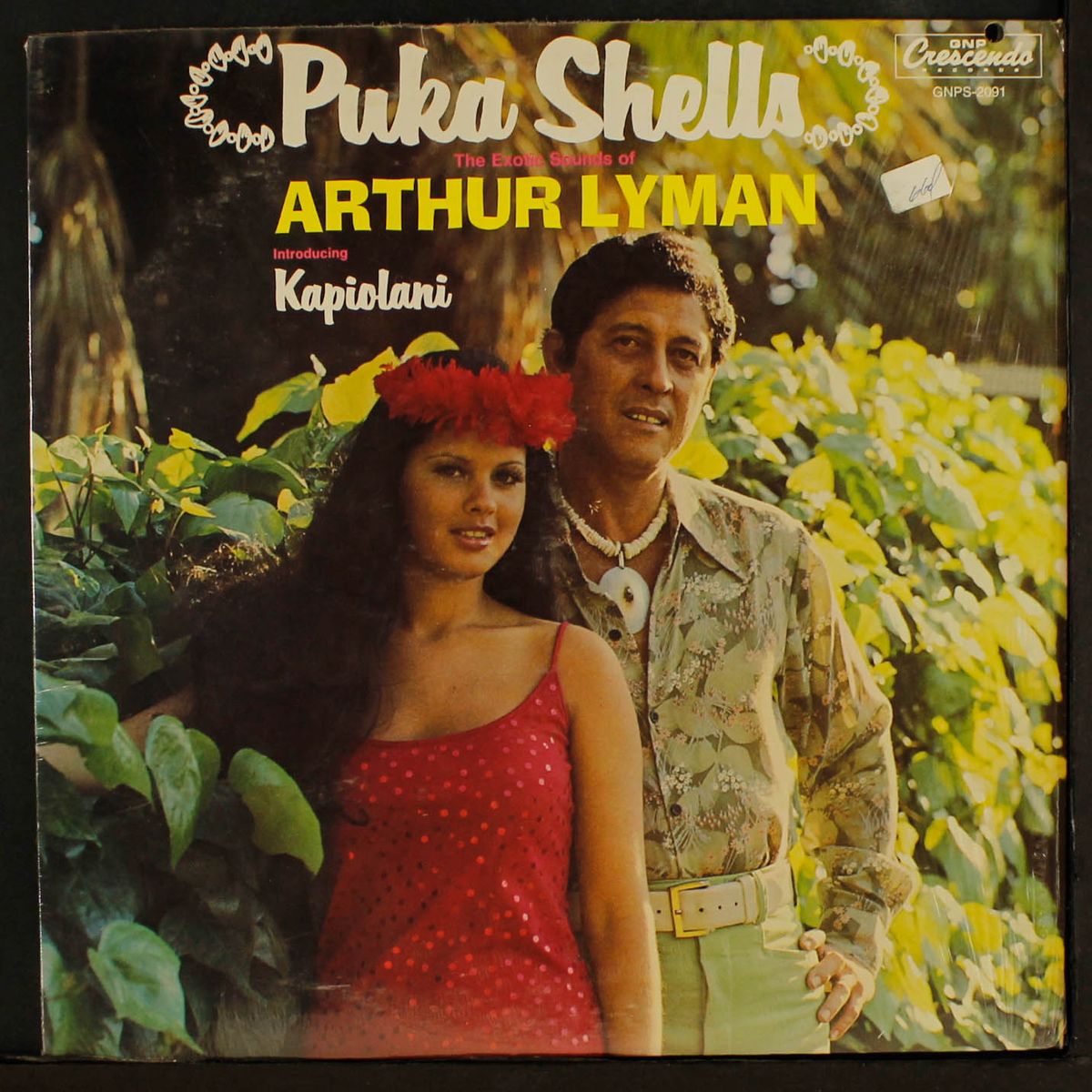 puka shells by ARTHUR LYMAN