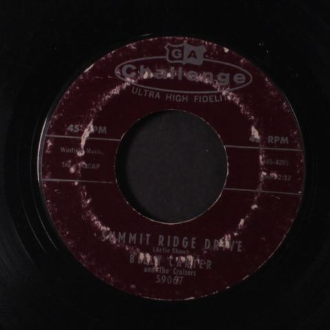 BILLY CARTER & CRUISERS