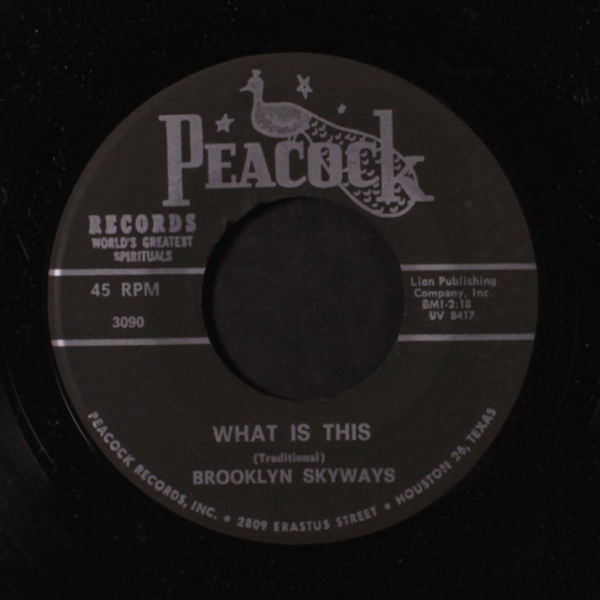 go down moses / what is this by BROOKLYN SKYWAYS