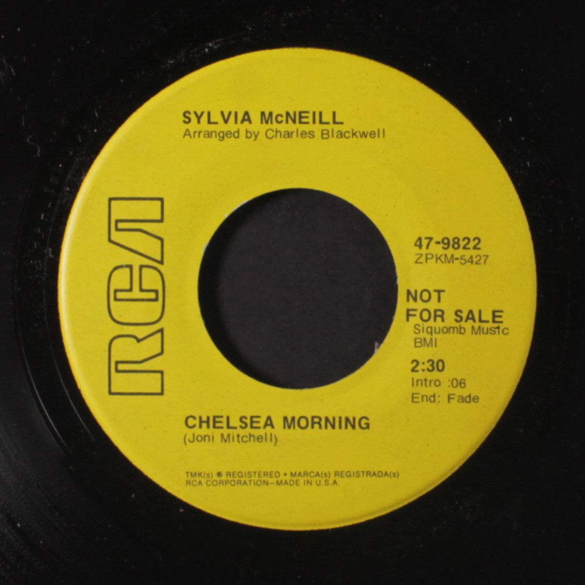chelsea morning by SYLVIA MCNEILL