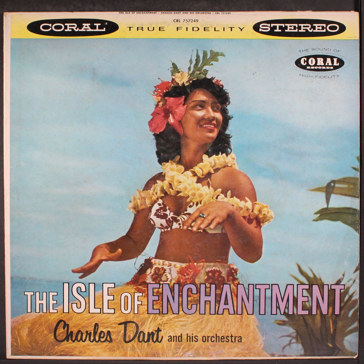 the isle of enchantment by CHARLES DANT