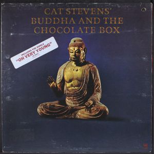 CAT STEVENS