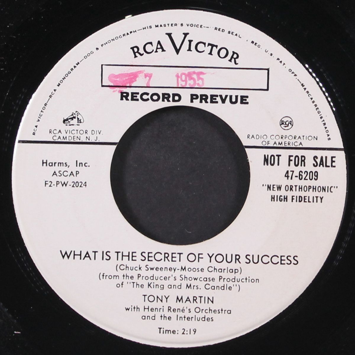young ideas / what is the secret of your success by TONY MARTIN