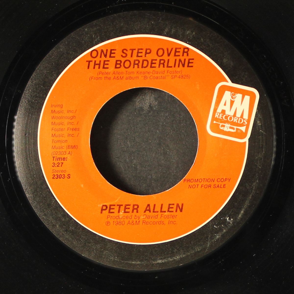 one step over the borderline / mono by PETER ALLEN