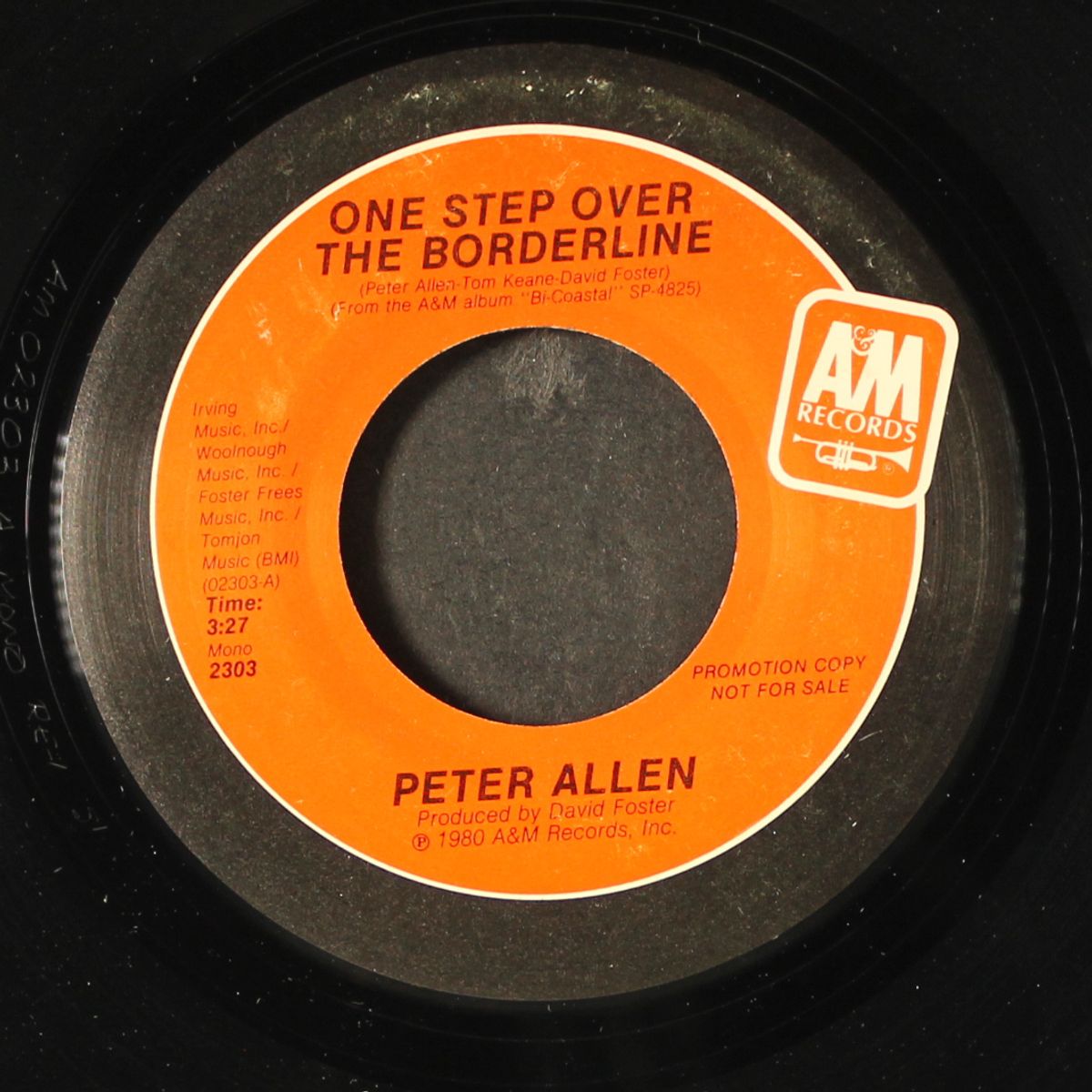 one step over the borderline / mono by PETER ALLEN