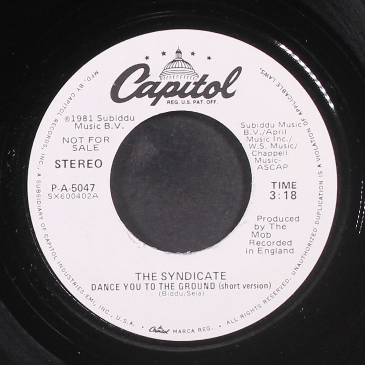 dance you to the ground / short by SYNDICATE