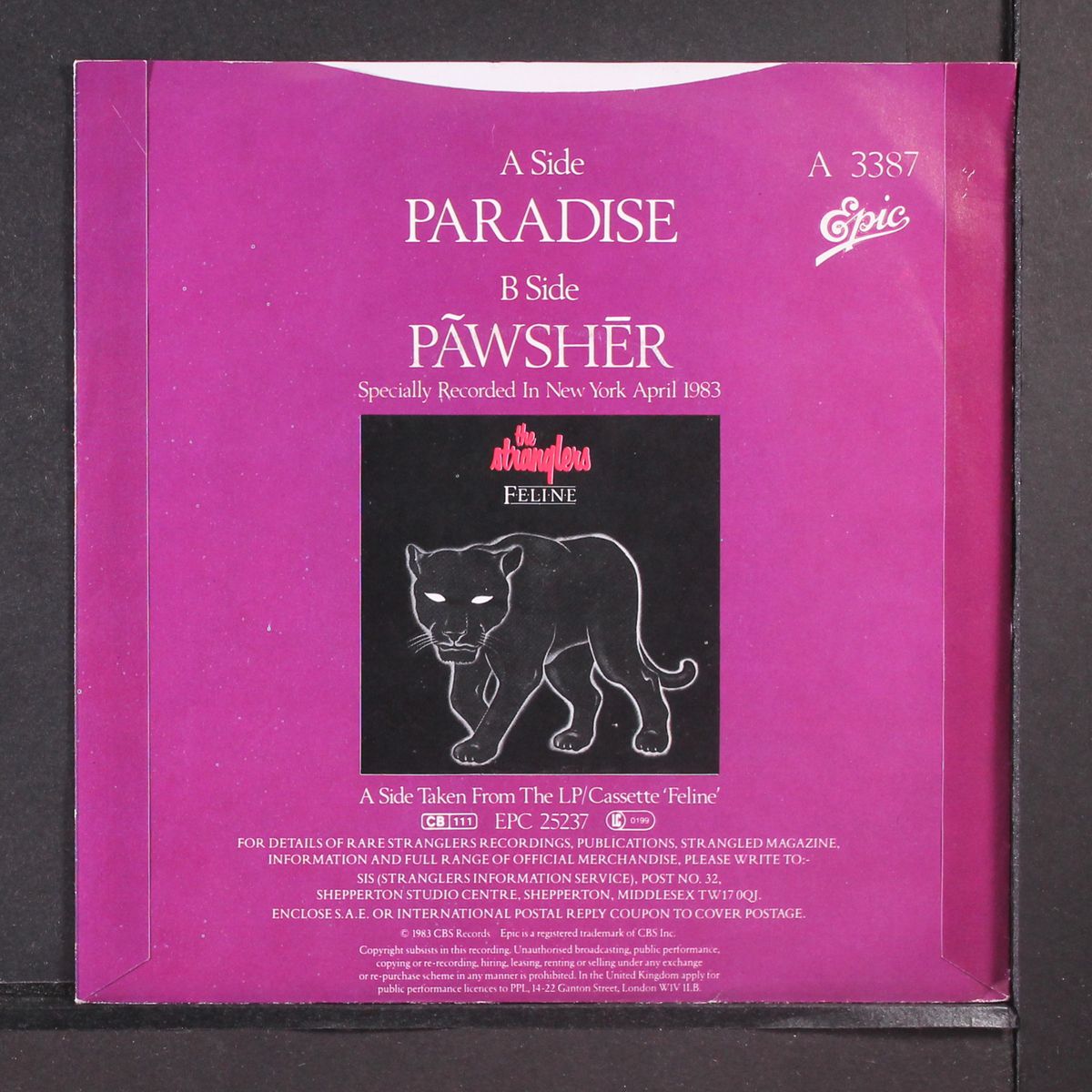 paradise by STRANGLERS
