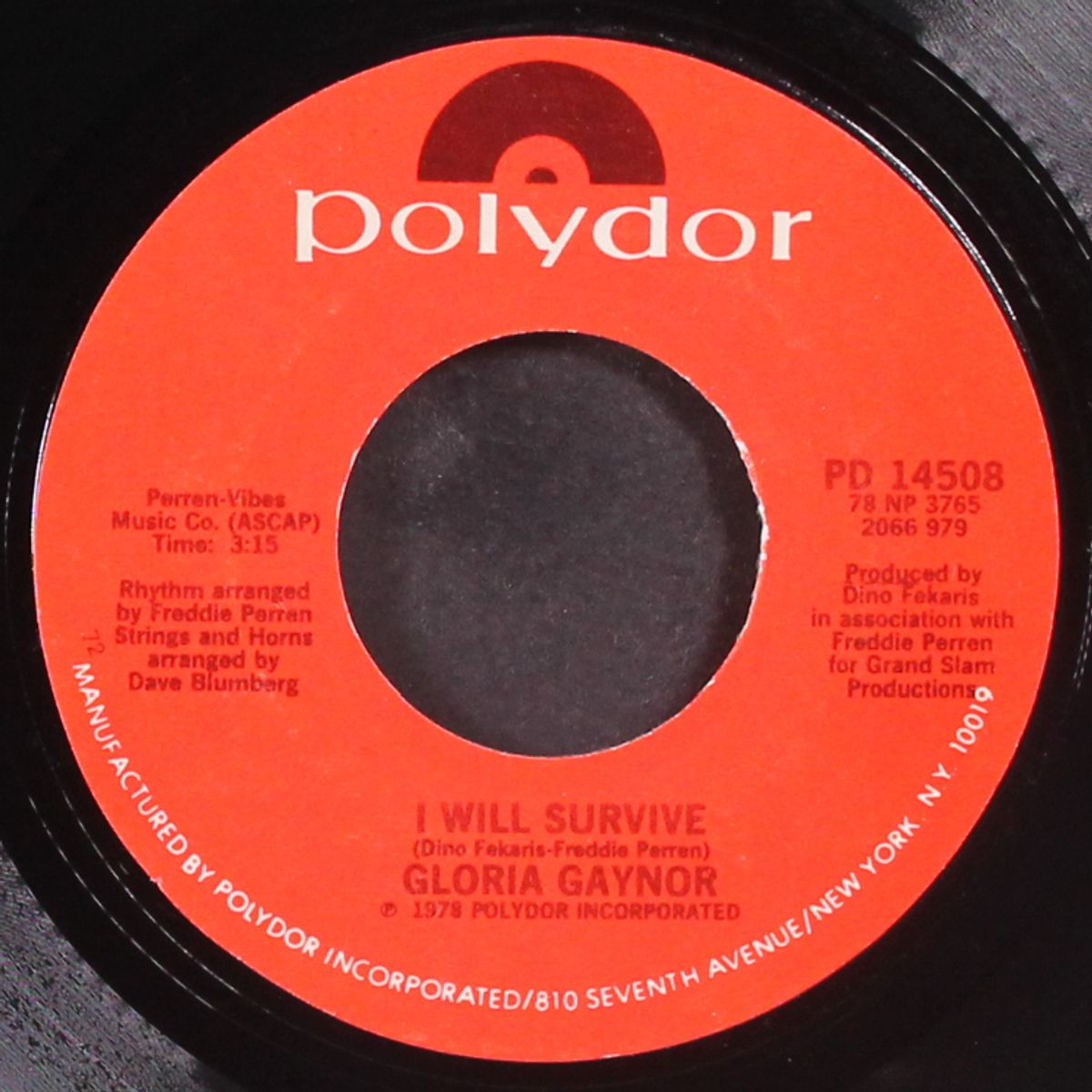 i will survive / substitute by GLORIA GAYNOR