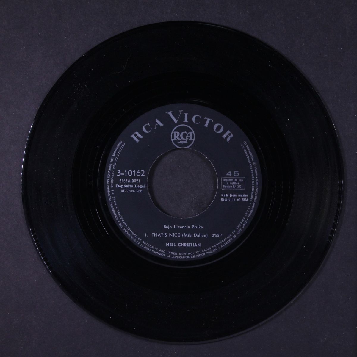 that's nice / she's got the action by NEIL CHRISTIAN
