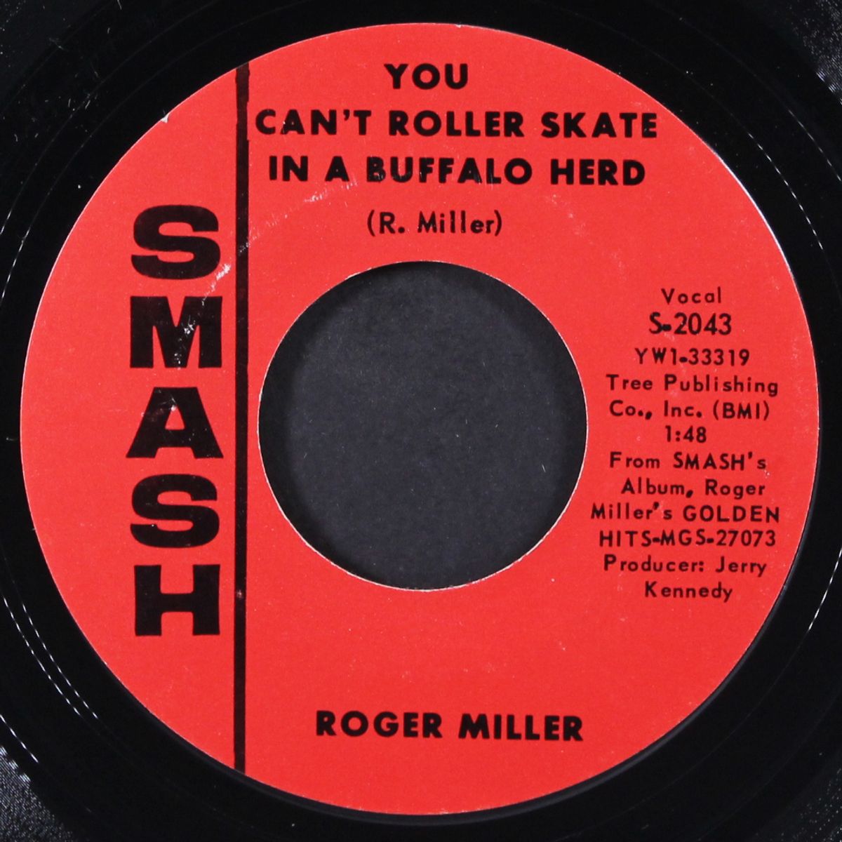 train of life / you can't roller skate in a buffalo herd by ROGER MILLER