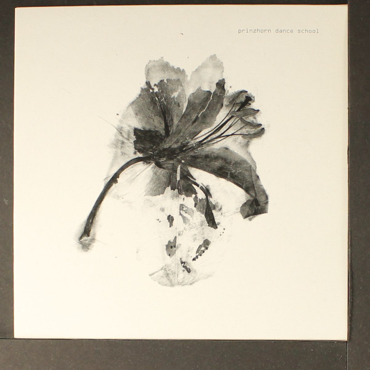seed, crop, harvest / off the radar, off the system by PRINZHORN DANCE SCHOOL