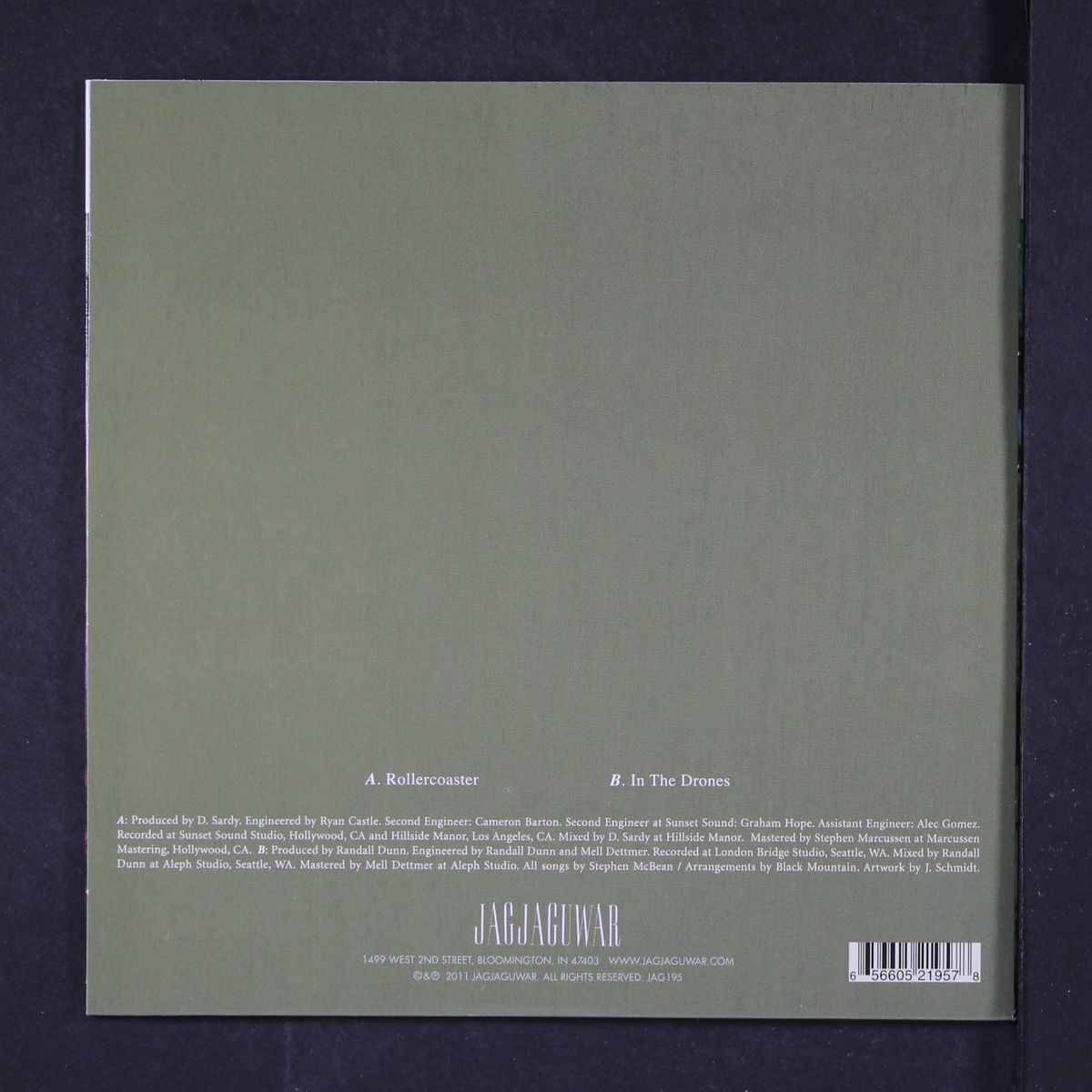 rollercoaster / in the drones by BLACK MOUNTAIN