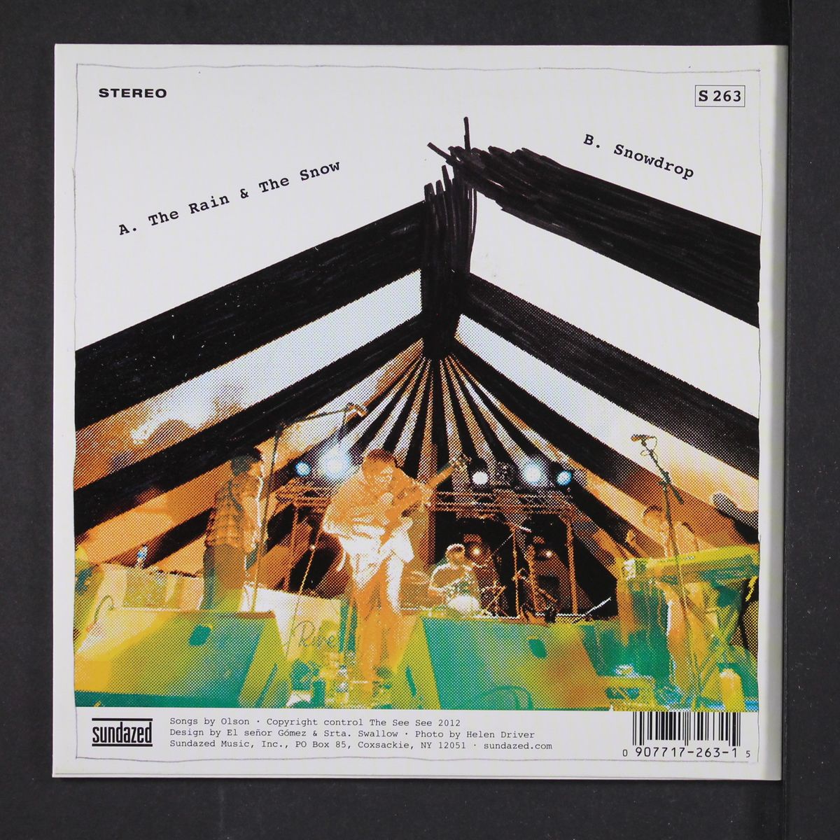 the rain & the snow / snowdrop by SEE SEE