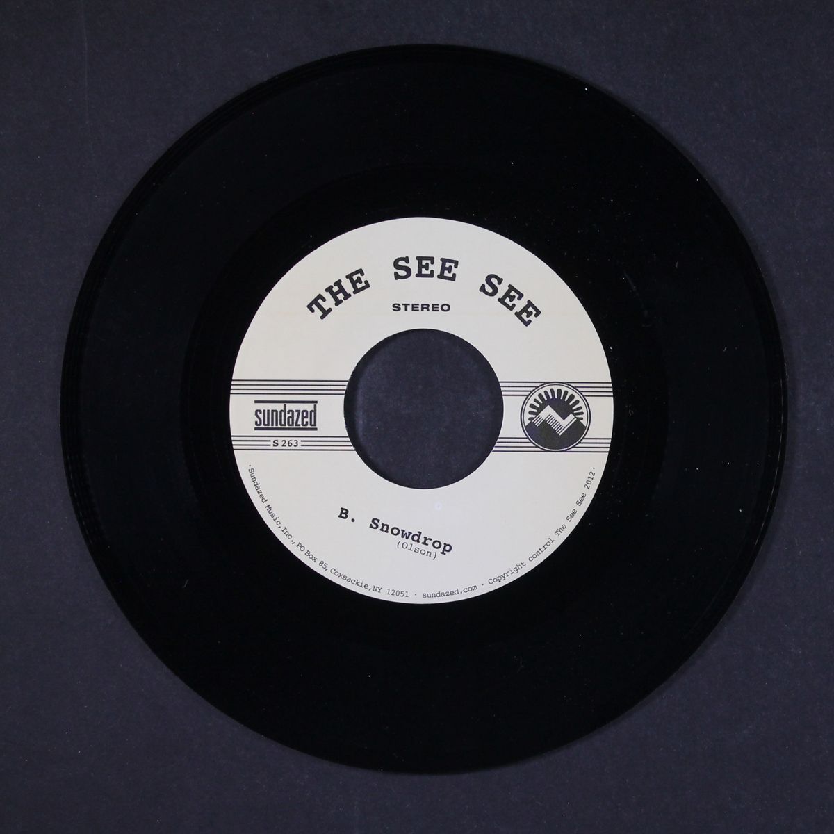 the rain & the snow / snowdrop by SEE SEE