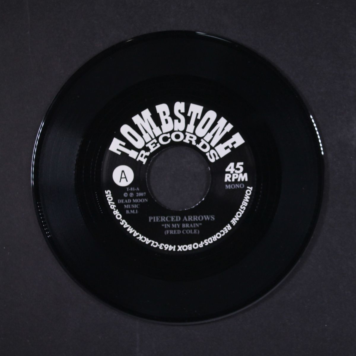 in my brain / caroline by PIERCED ARROWS
