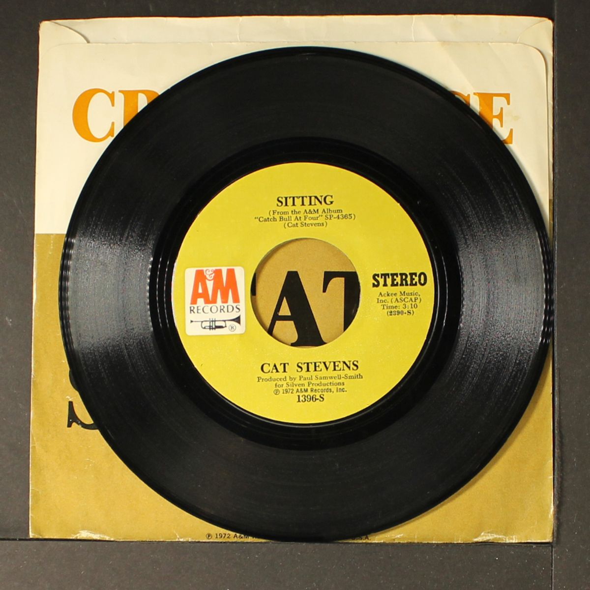 sitting by CAT STEVENS