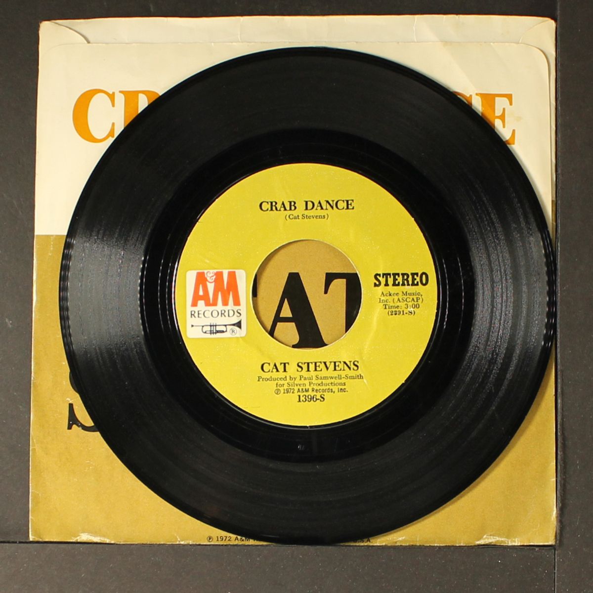 sitting by CAT STEVENS