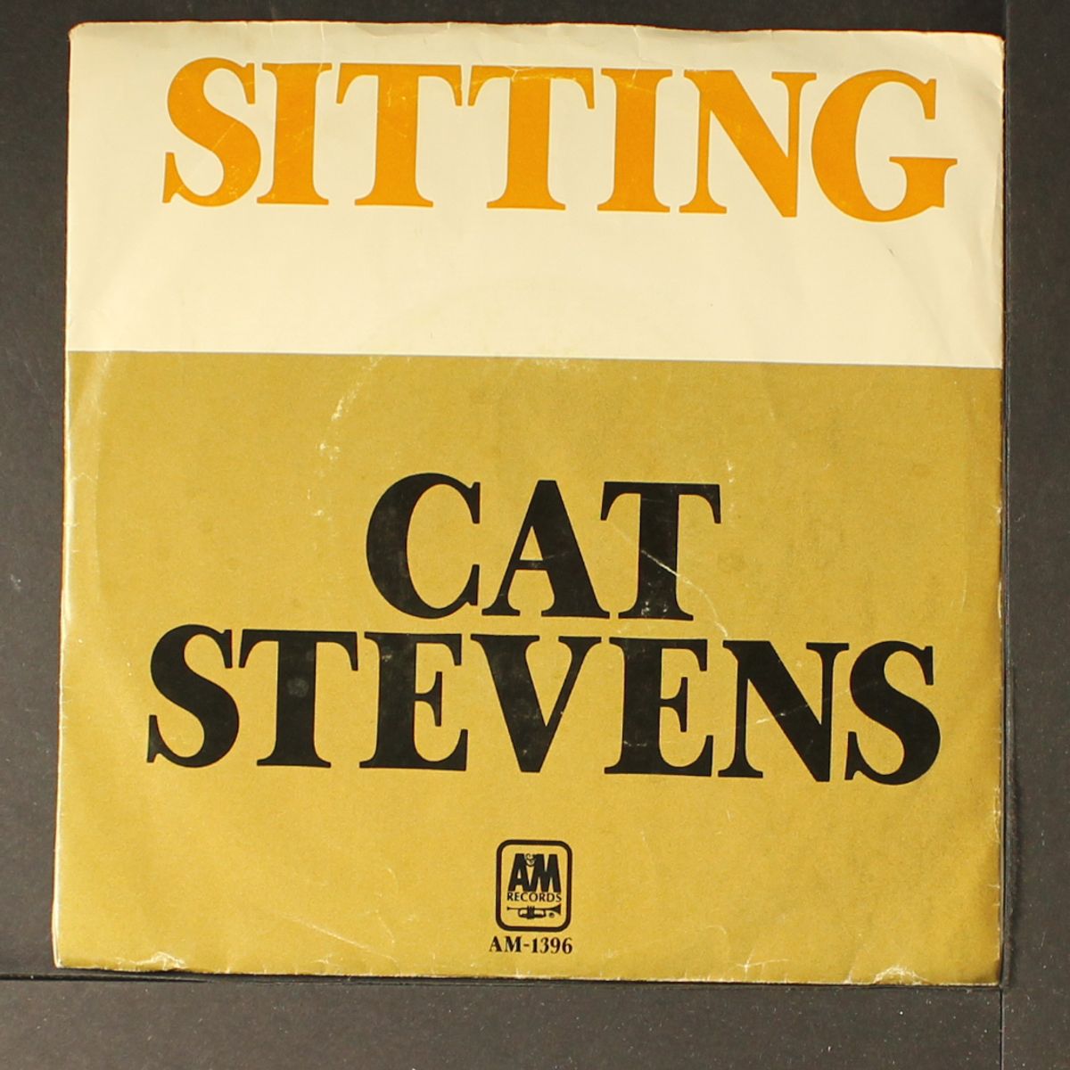 sitting by CAT STEVENS