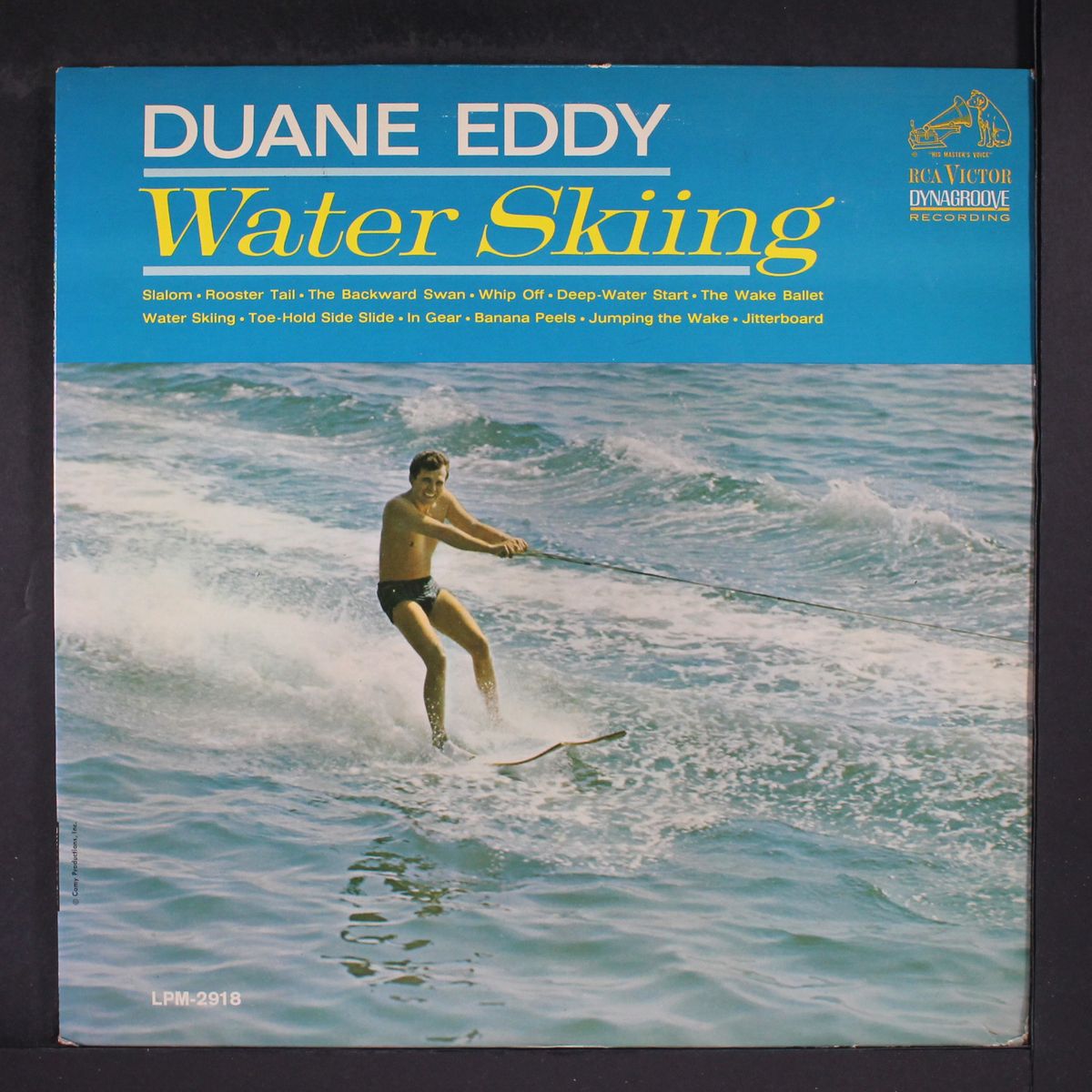 water skiing by DUANE EDDY
