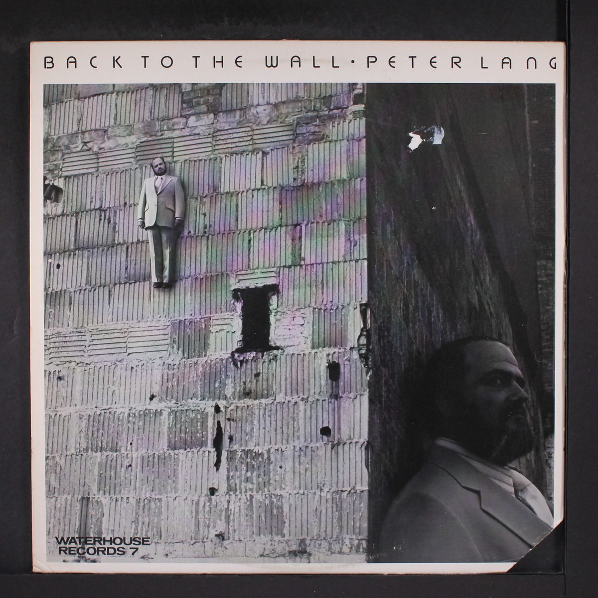 back to the wall by PETER LANG