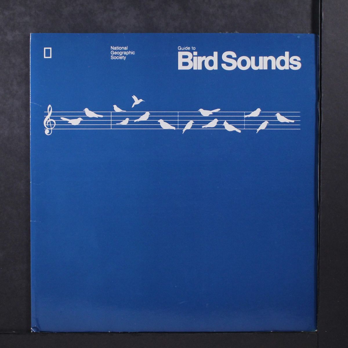 guide to bird sounds by VARIOUS