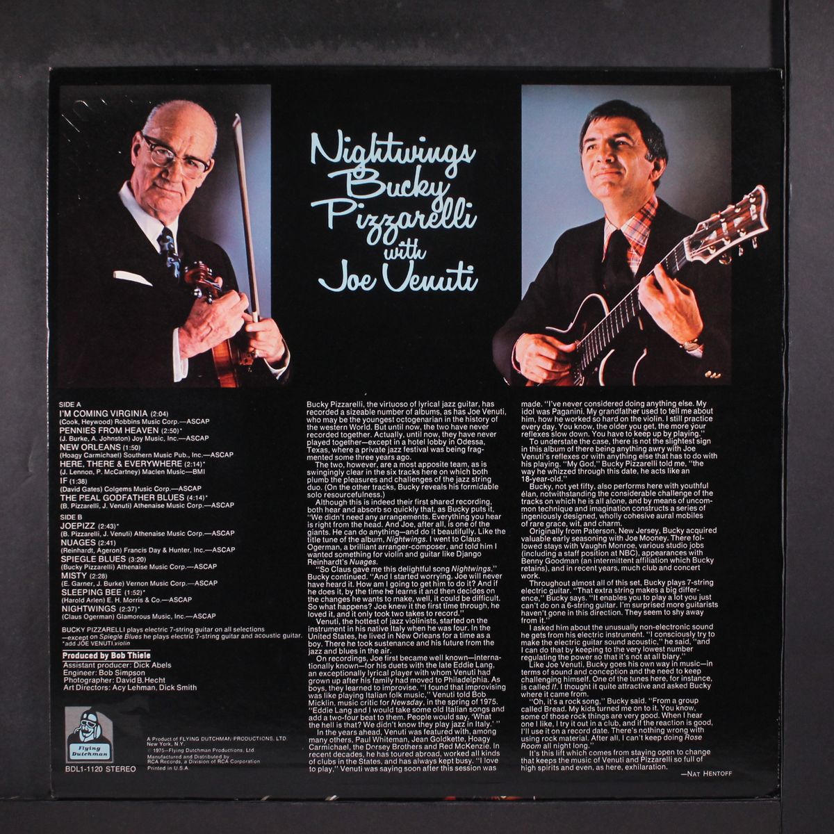 nightwings by BUCKY PIZZARELLI