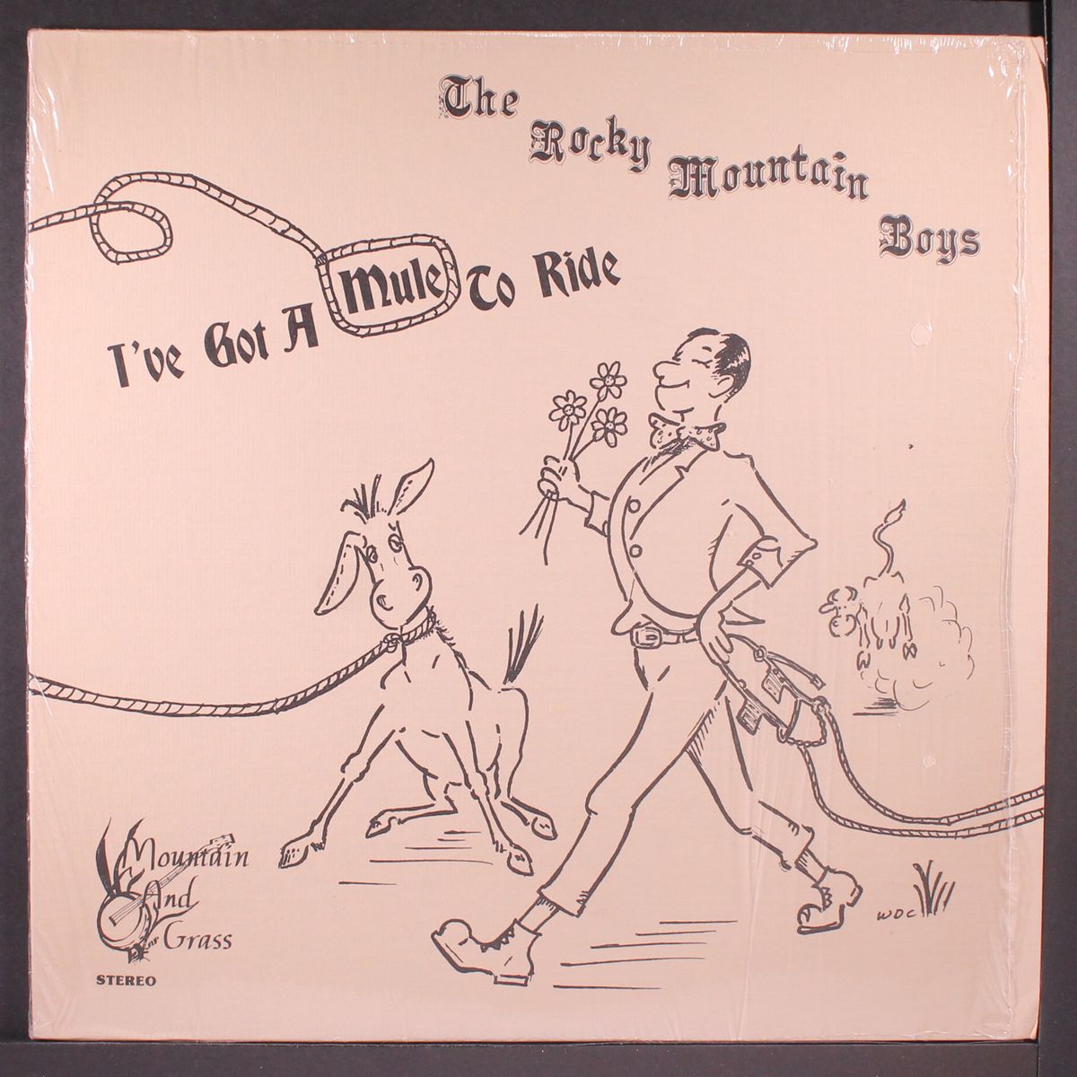 i've got a mule to ride by ROCKY MOUNTAIN BOYS