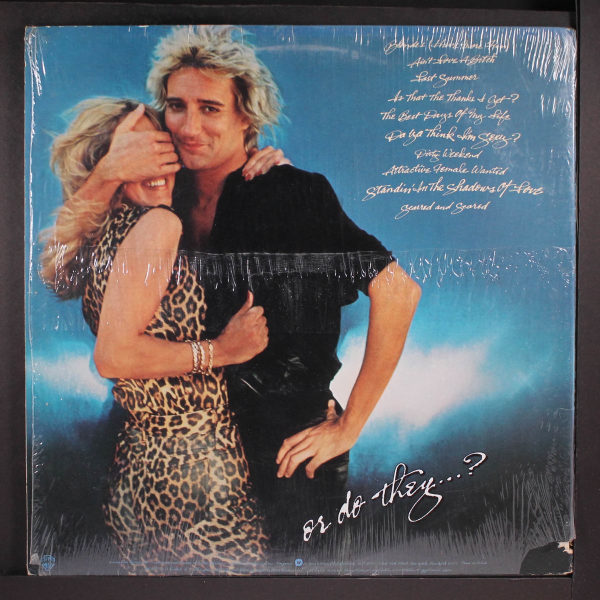 blondes have more fun by ROD STEWART