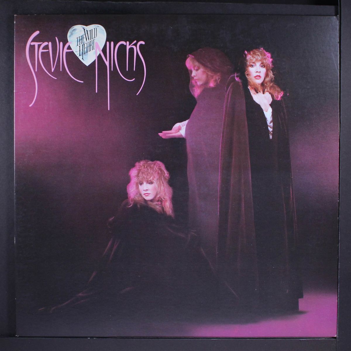 the wild heart by STEVIE NICKS