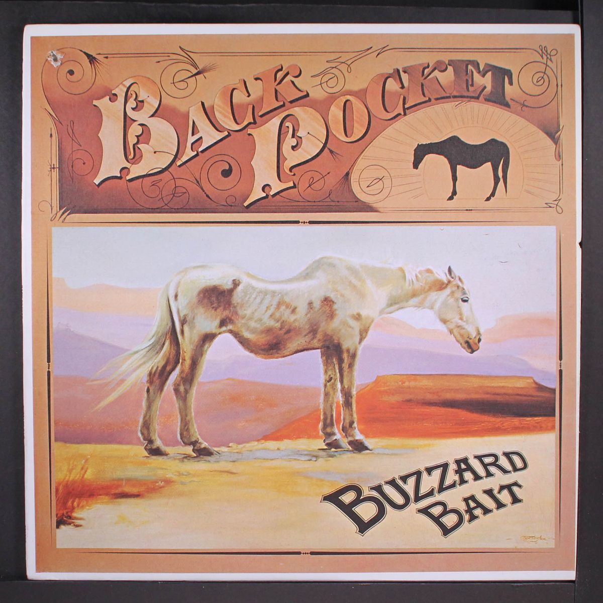 buzzard bait by BACK POCKET